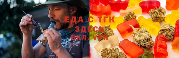mdpv Вяземский