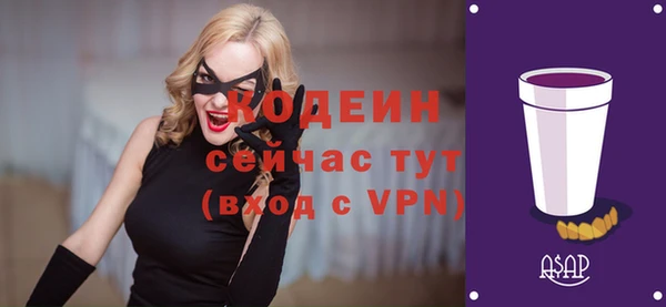 mdpv Вяземский