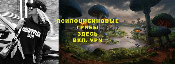 mdpv Вяземский