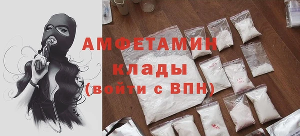 mdpv Вяземский