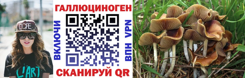Псилоцибиновые грибы мухоморы  Отрадный 